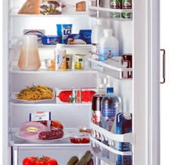 Kühlschrank mit Umluftkühlung (V-ZUG)